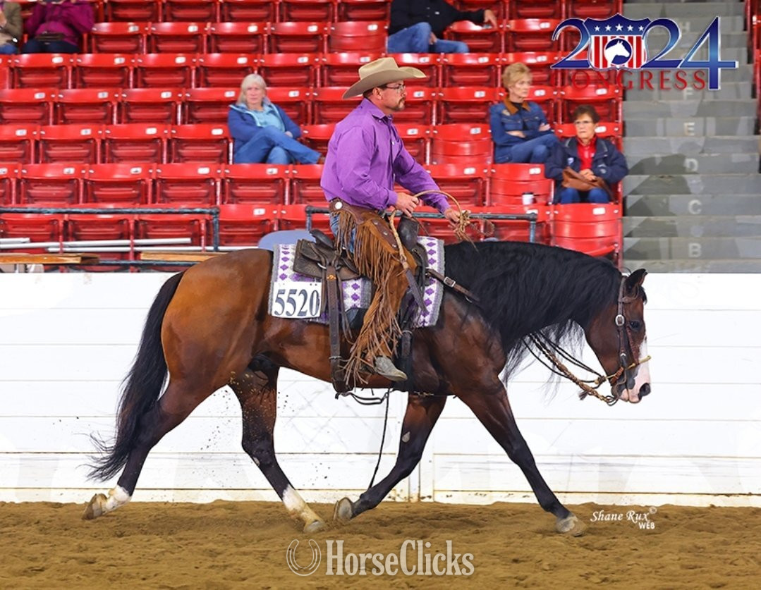 "Capones Gotta Gun" Bay Gelding Quarter Horse