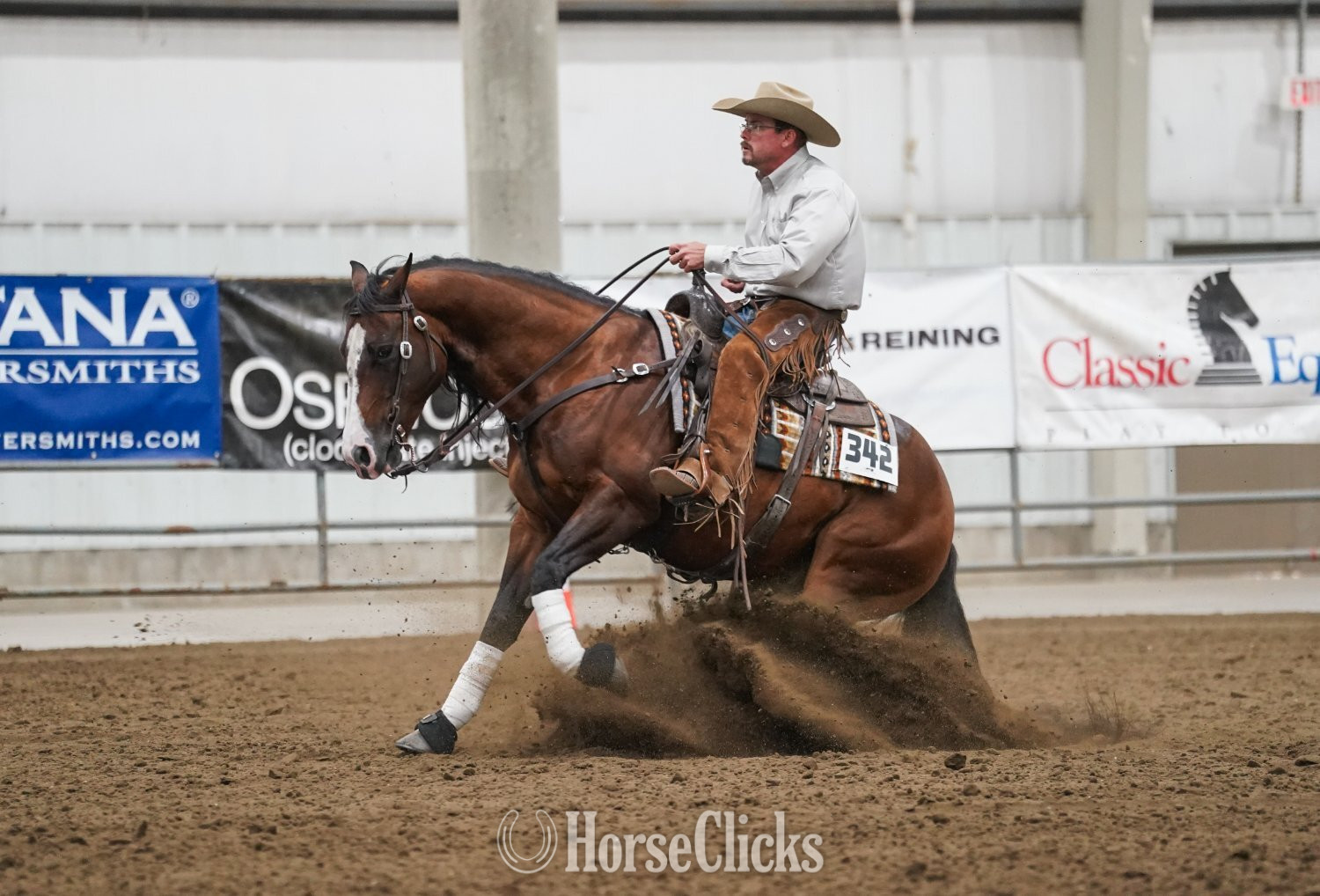 Illinois "Capones Gotta Gun" Bay Gelding Quarter Horse