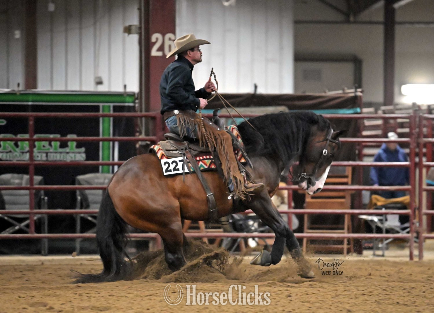 "Capones Gotta Gun" Bay Gelding Quarter Horse - Quarter Horse