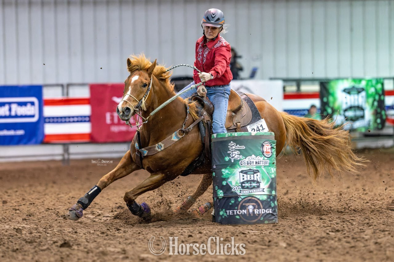 Oklahoma "Charming Danny Boy" Sorrel Gelding Appendix