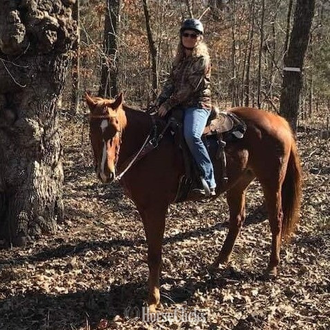 "Charming Danny Boy" Sorrel Gelding Appendix - Appendix in Oklahoma