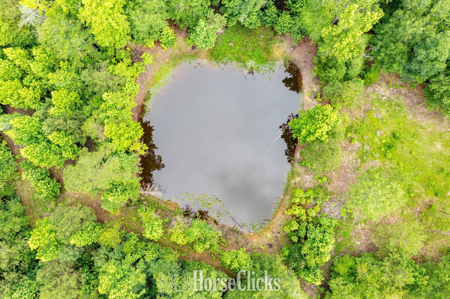 174 Acres Built for the Outdoors - Land For Sale in Georgia