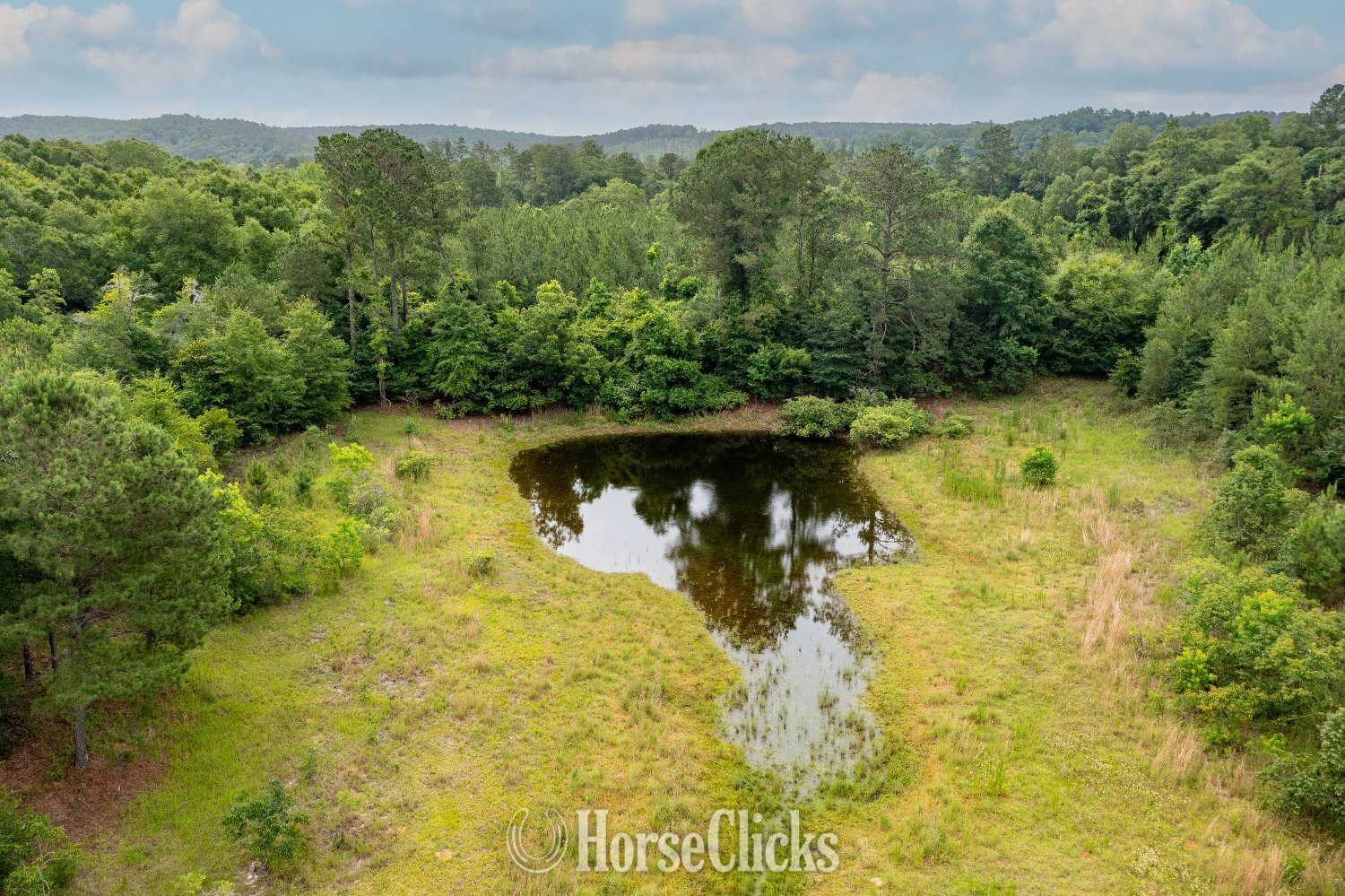 Land For Sale - 174 Acres Built for the Outdoors in Georgia