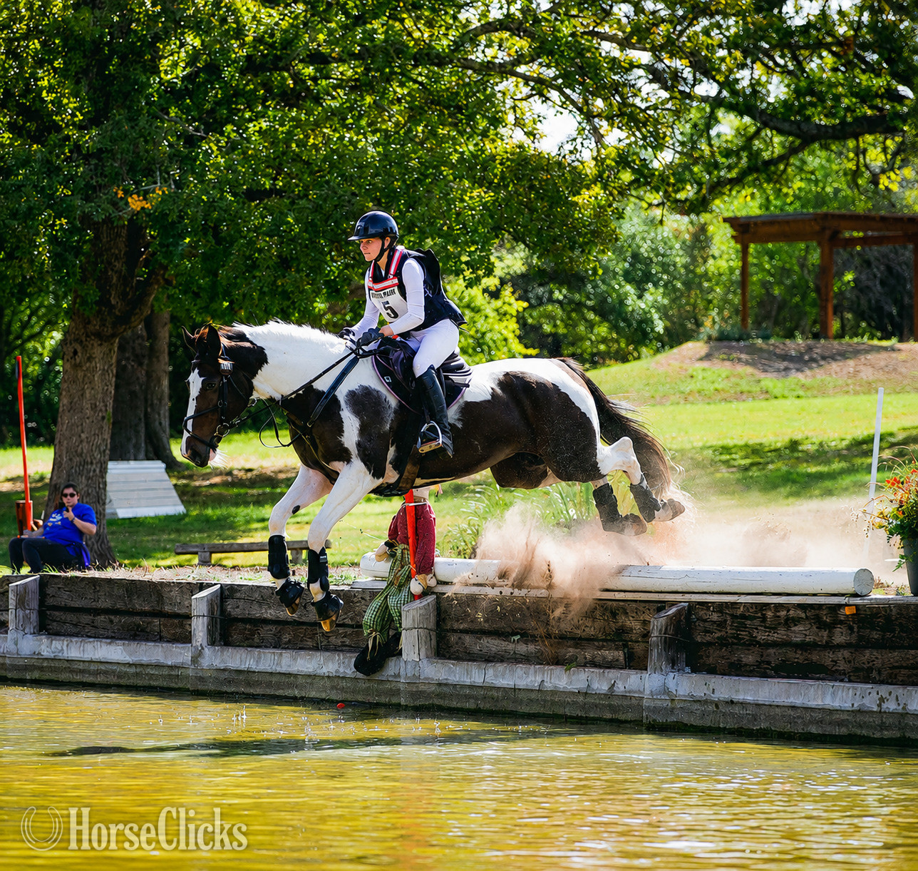 "Phls" Tabiano Gelding Pony
