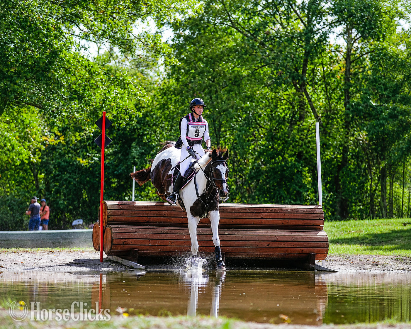 "Phls" Tabiano Gelding Pony - Pony in Wisconsin