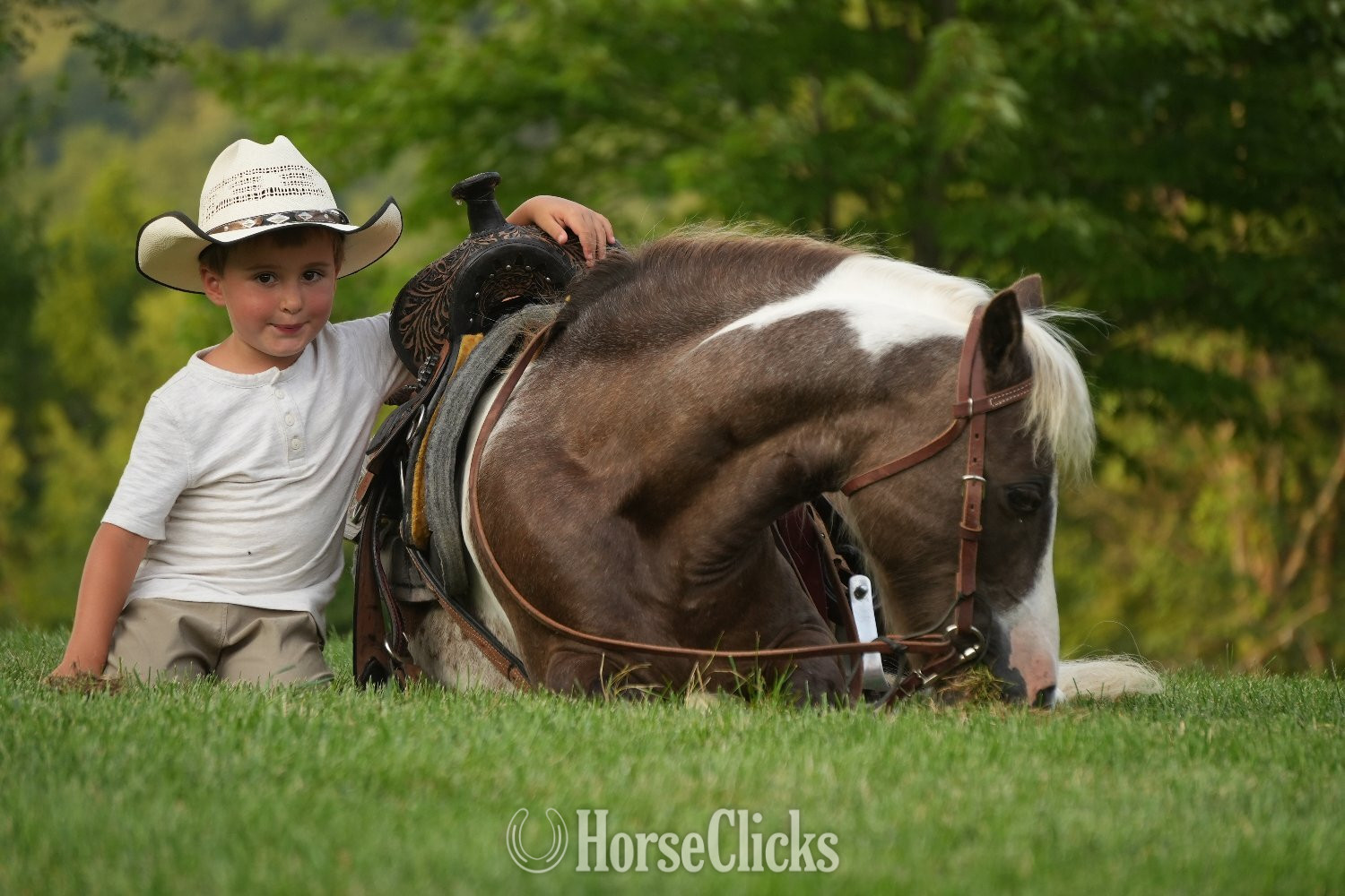 Ohio "Whiskey" Pinto Gelding Pony