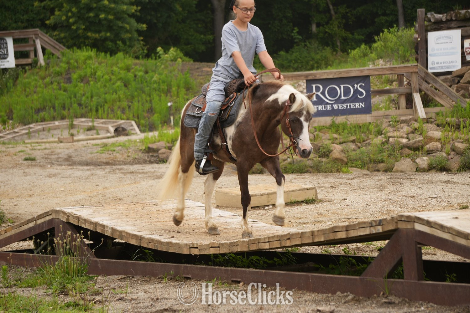 "Whiskey" Pinto Gelding Pony - Pony in Ohio