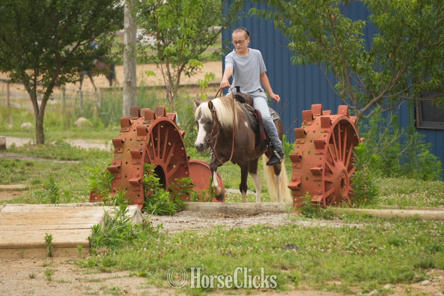 "Whiskey" Pinto Gelding Pony - Pony