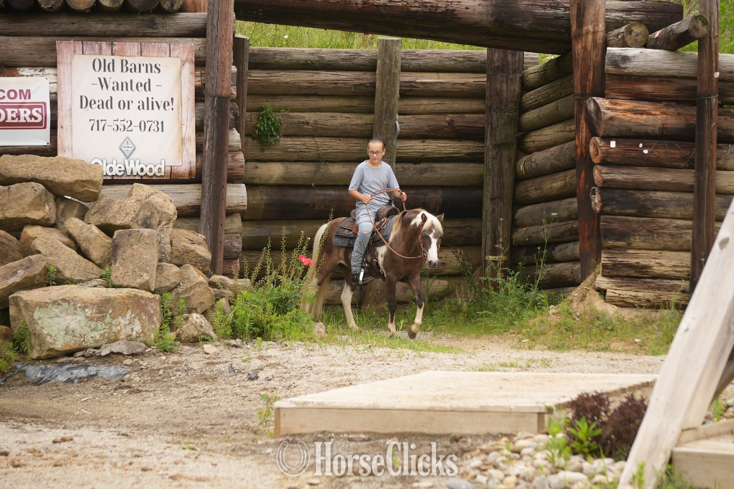 "Whiskey" Pinto Gelding Pony Ohio