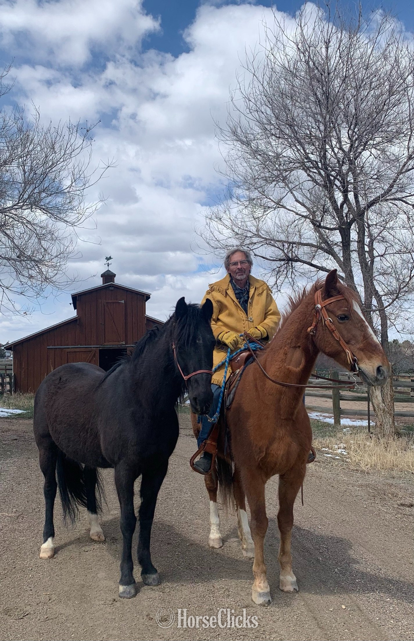 "Contessa's Black Silver (Tessa)" Black Mare Missouri Fox Trotter - Missouri Fox Trotter in Arizona