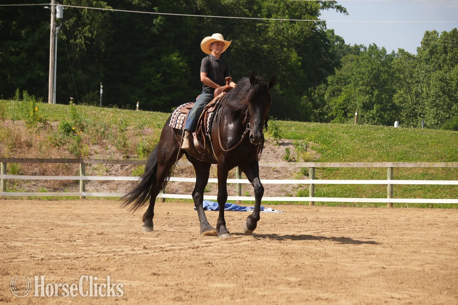 Ohio "Midnight Majesty " Black Gelding Friesian