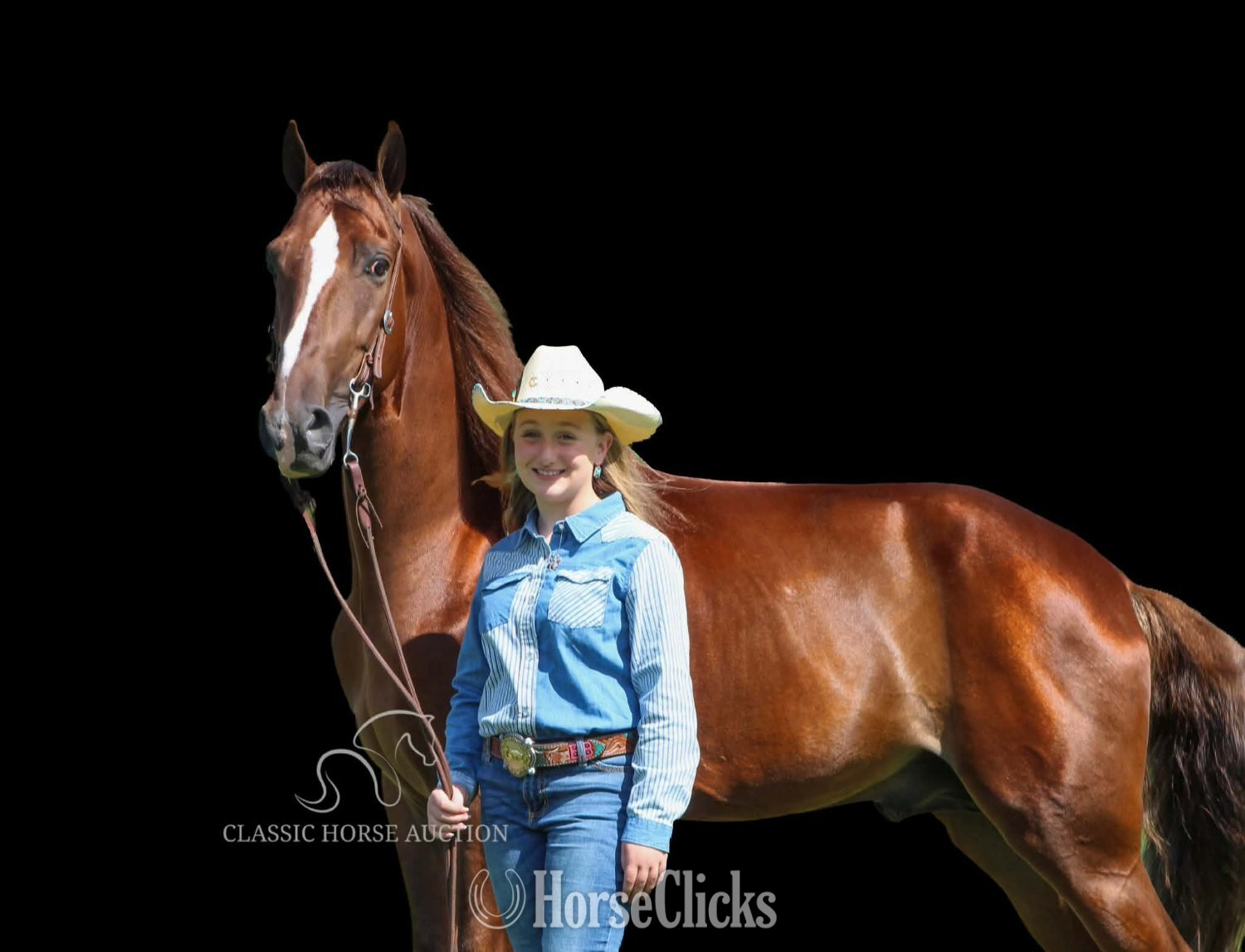 "MAPLE JACK" Chestnut Gelding Tennessee Walker