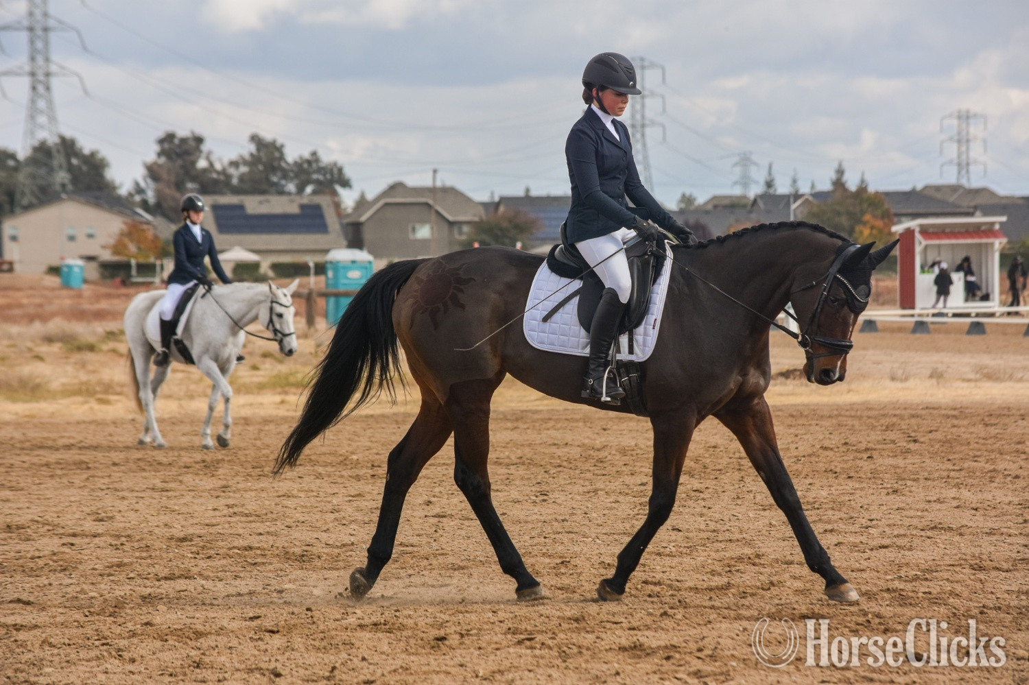 "Dontpreachto Cami" Bay Mare Thoroughbred in California