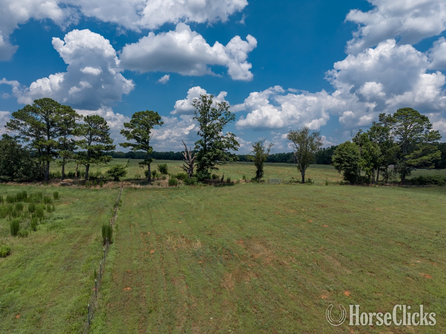 Land For Sale - 12+ acres in Newborn, GA in Georgia