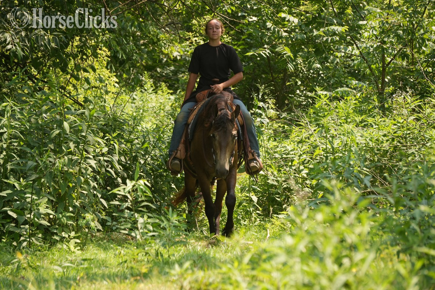 Ohio "Bandit" Buckskin Gelding Quarter Horse