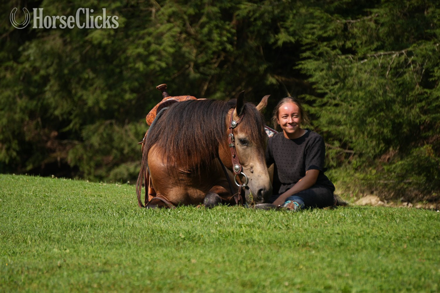 "Bandit" Buckskin Gelding Quarter Horse - Quarter Horse in Ohio