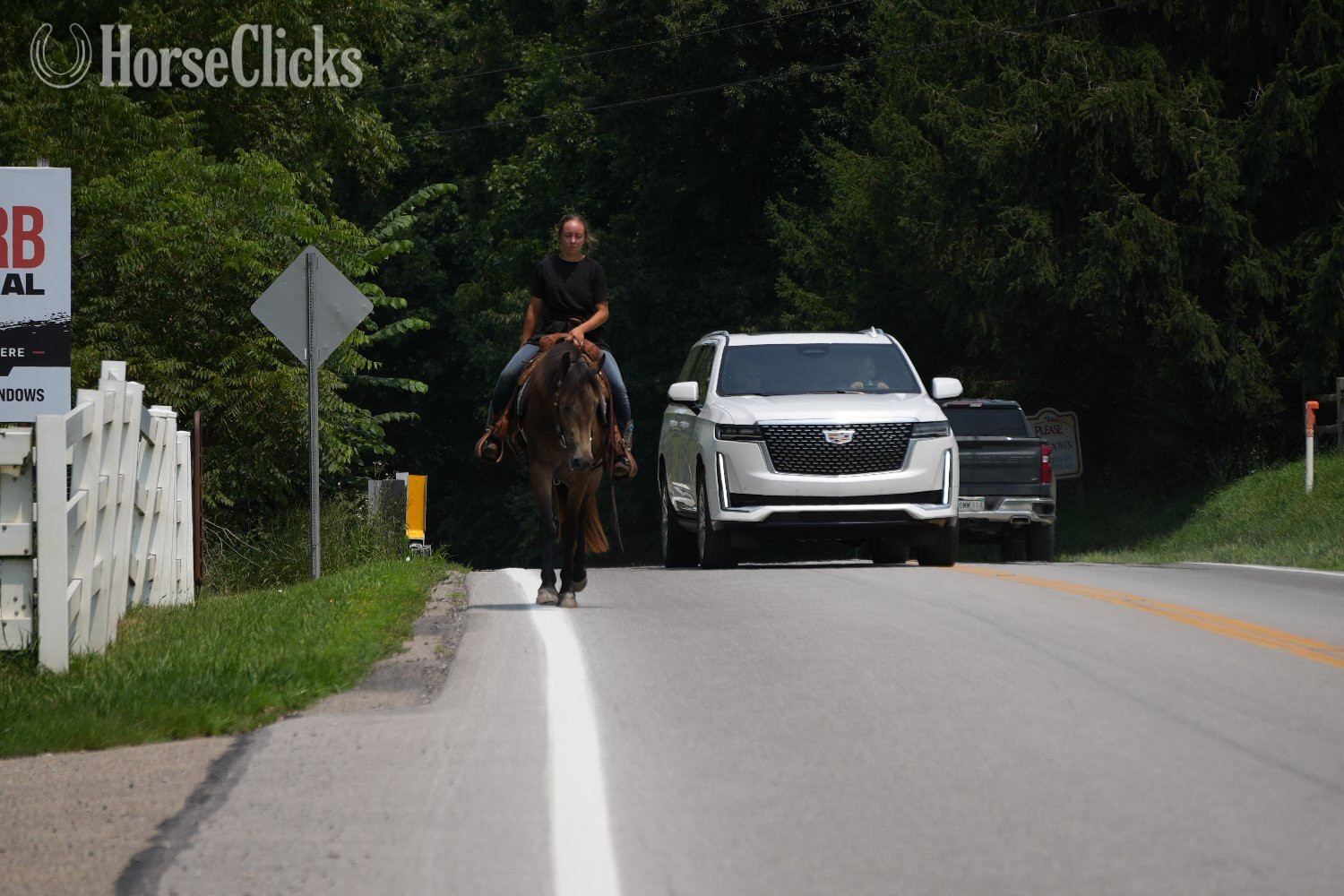 "Bandit" Buckskin Gelding Quarter Horse Ohio