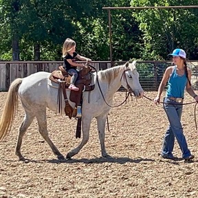 "Bubbles" Grey Mare Quarter Pony