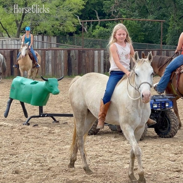 "Bubbles" Grey Mare Quarter Pony - Quarter Pony