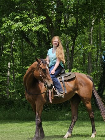 "Mollys party " Bay Mare Thoroughbred