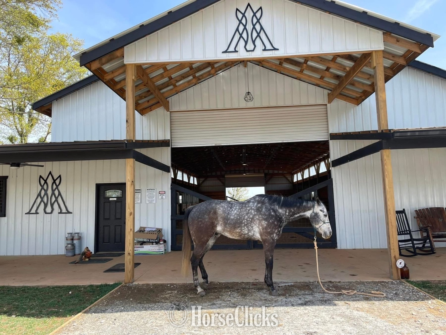 "Bolt" Silver Dapple Gelding Quarter Horse - Quarter Horse