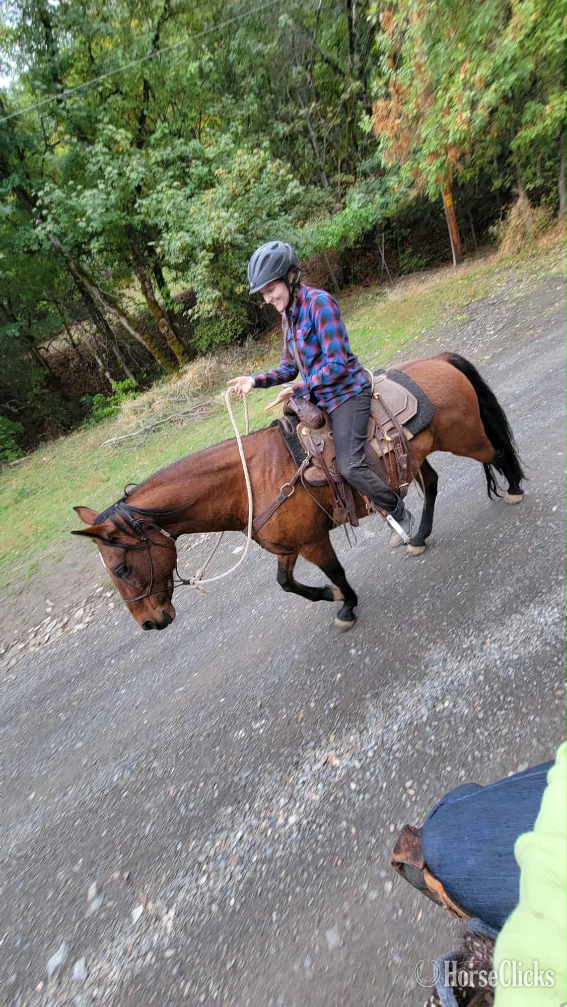 Oregon "Furiosa " Bay Mare Azteca