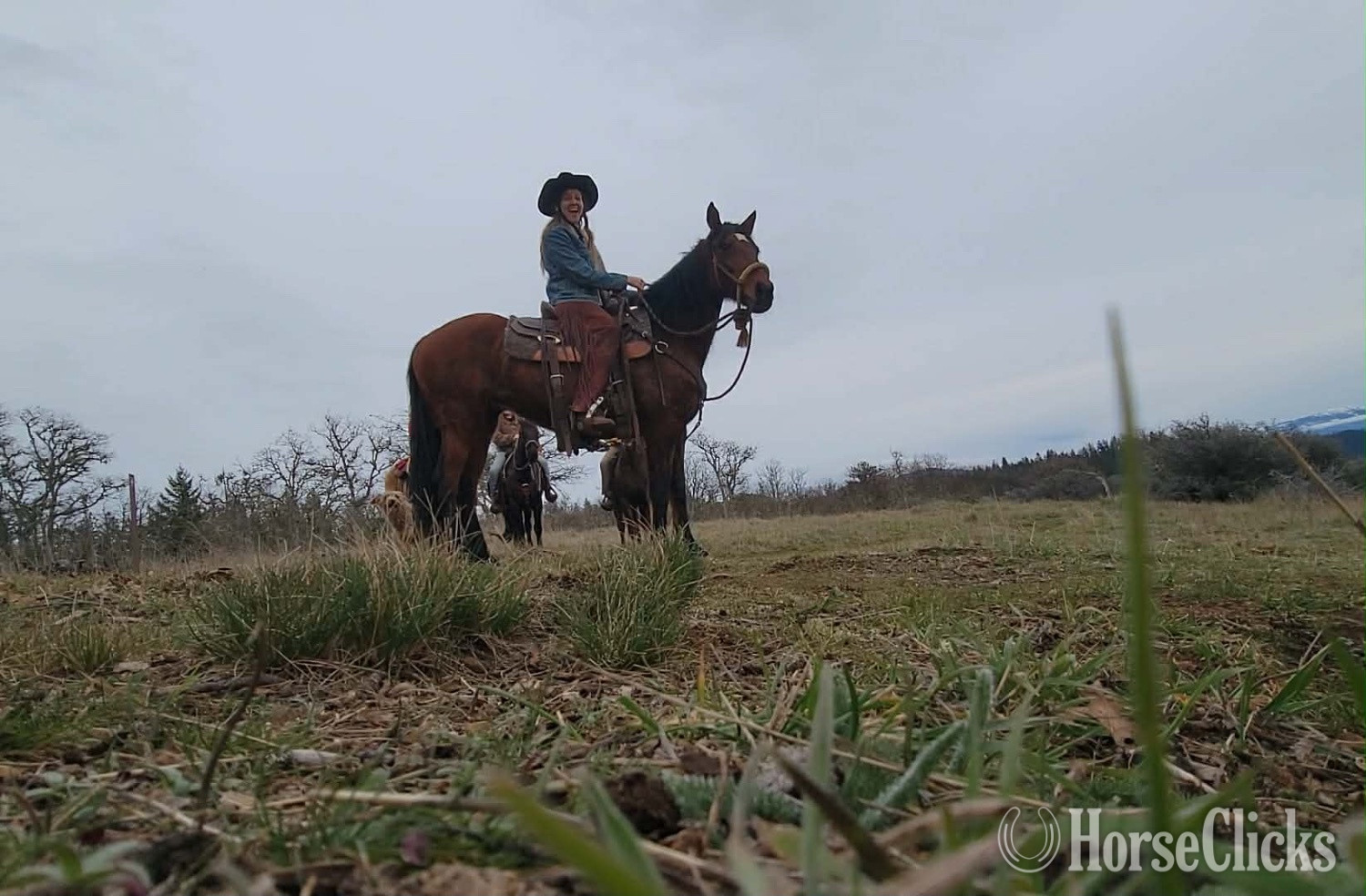 "Furiosa " Bay Mare Azteca - Azteca