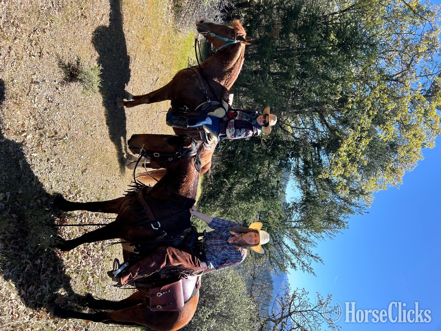 Azteca - "Furiosa " Bay Mare Azteca in Oregon