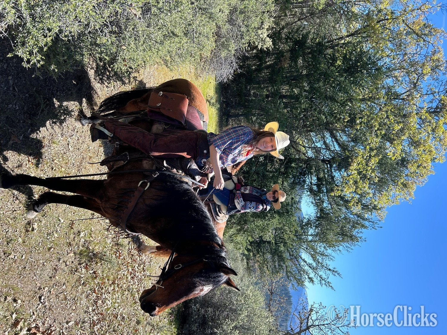 Azteca - "Furiosa " Bay Mare Azteca