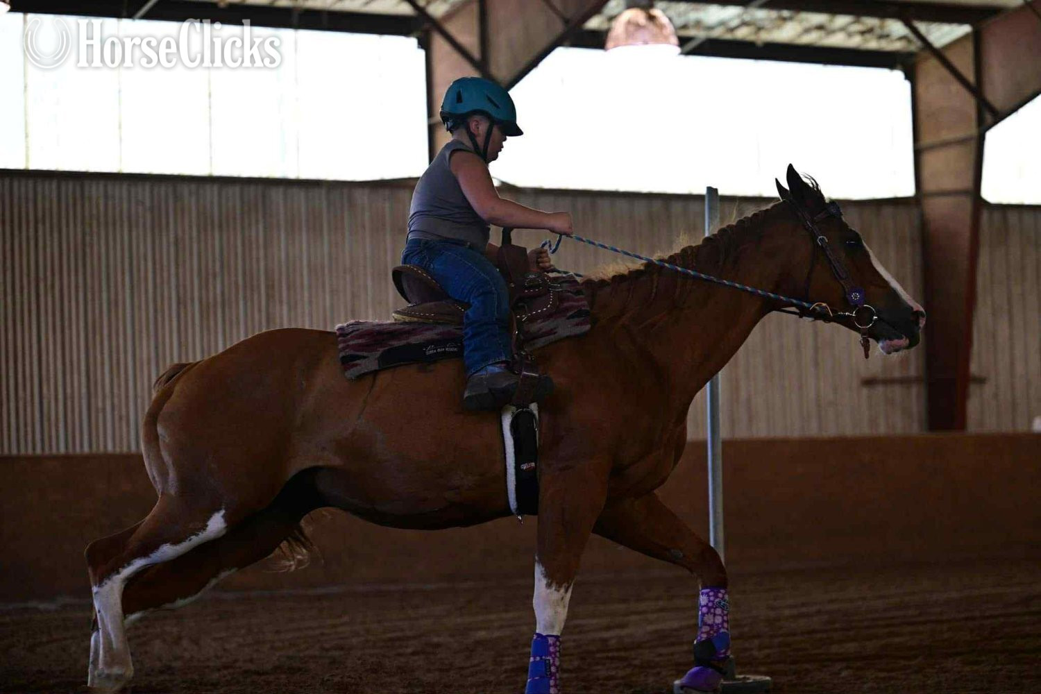 "Diva" Sorrel Mare Paint in Virginia