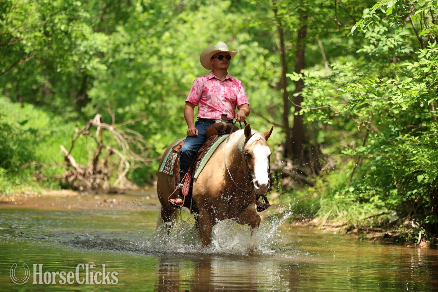 "Bling 182 " Palomino Gelding Quarter Horse - Quarter Horse in Missouri