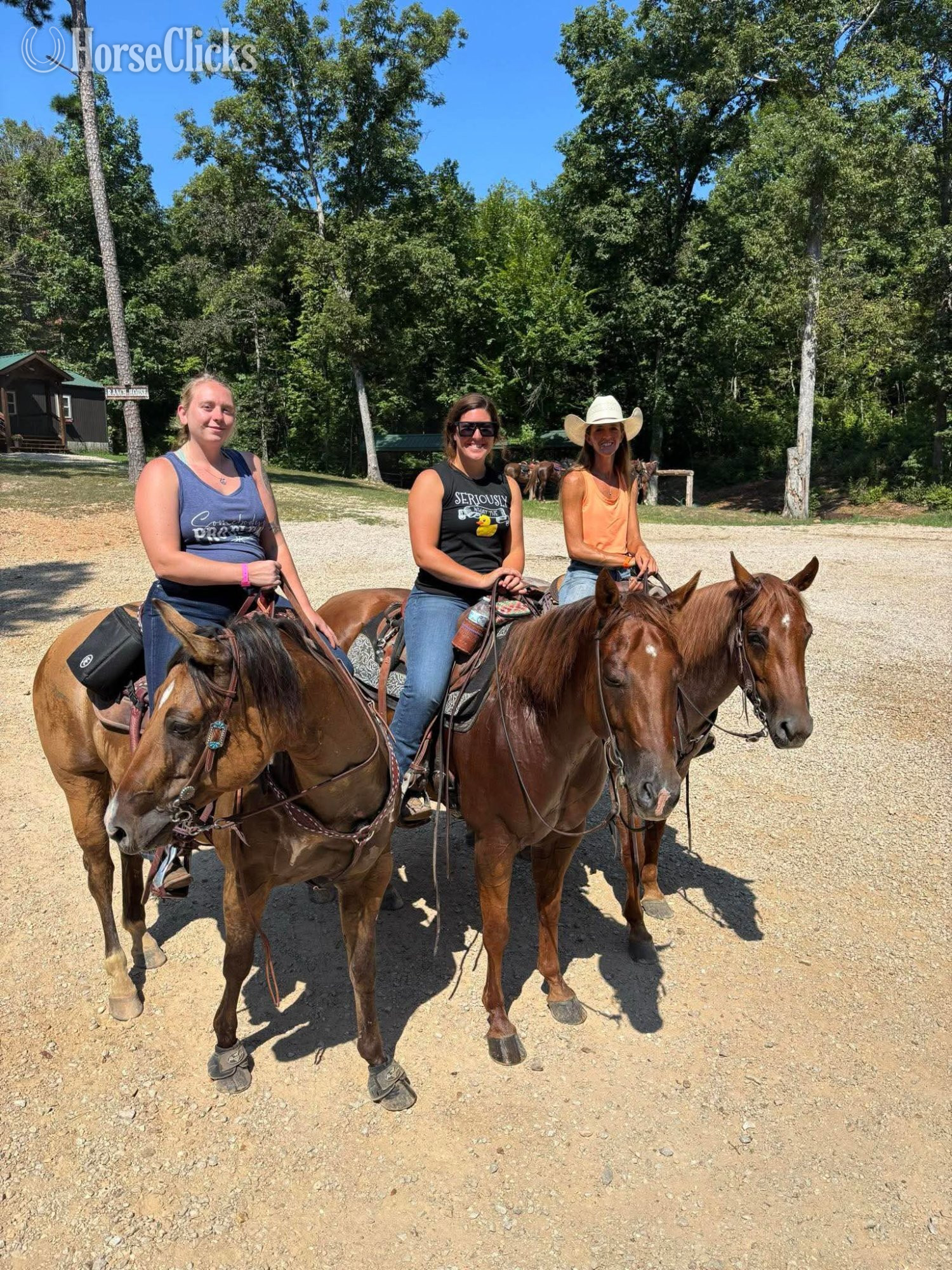 "FLASHED BY A BARTENDER" Red Roan Mare Quarter Horse - Quarter Horse in Illinois