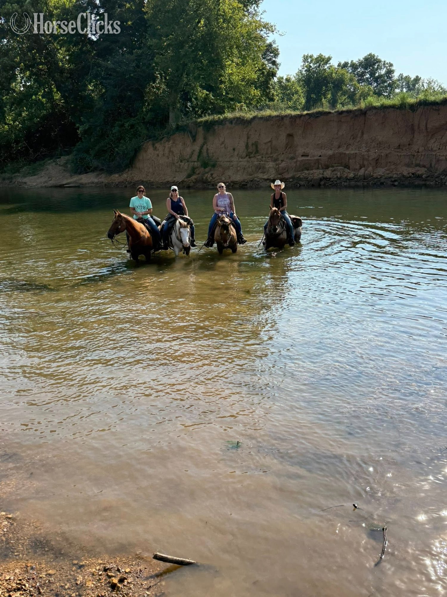 "FLASHED BY A BARTENDER" Red Roan Mare Quarter Horse Illinois