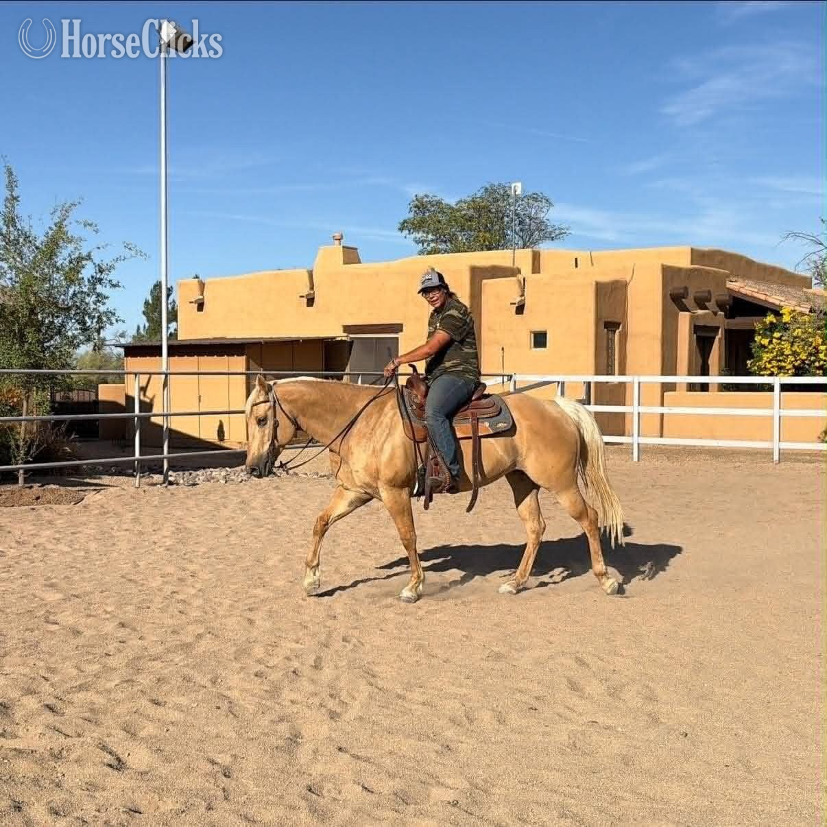 Quarter Horse - "ABBY" Palomino Mare Quarter Horse in Arizona