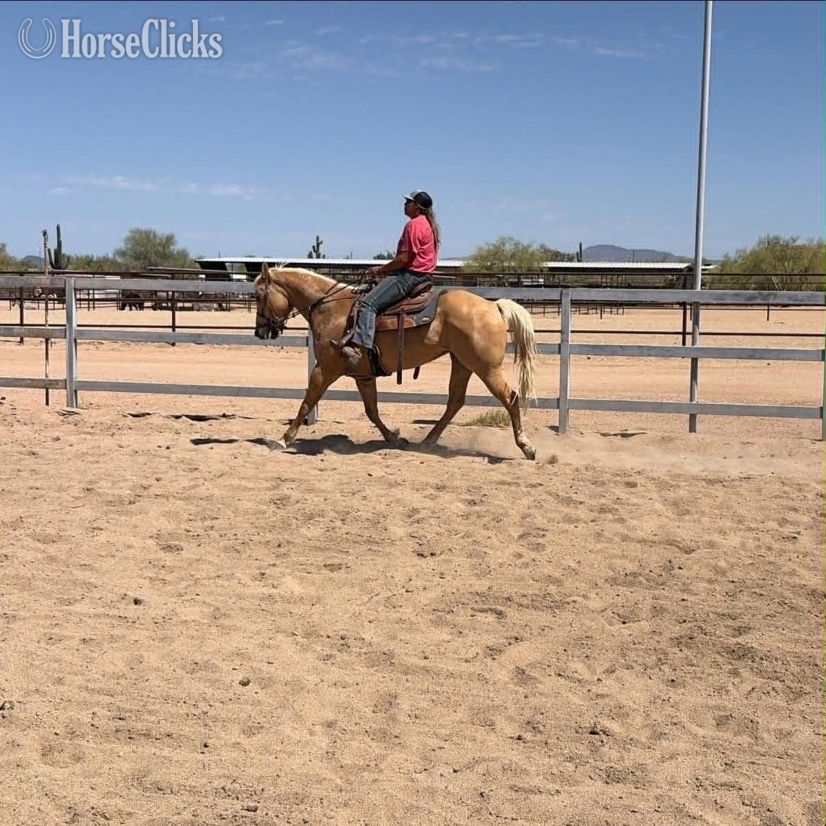 Quarter Horse - "ABBY" Palomino Mare Quarter Horse