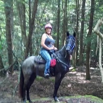 "Ruth" Blue Roan Mare Racking Horse