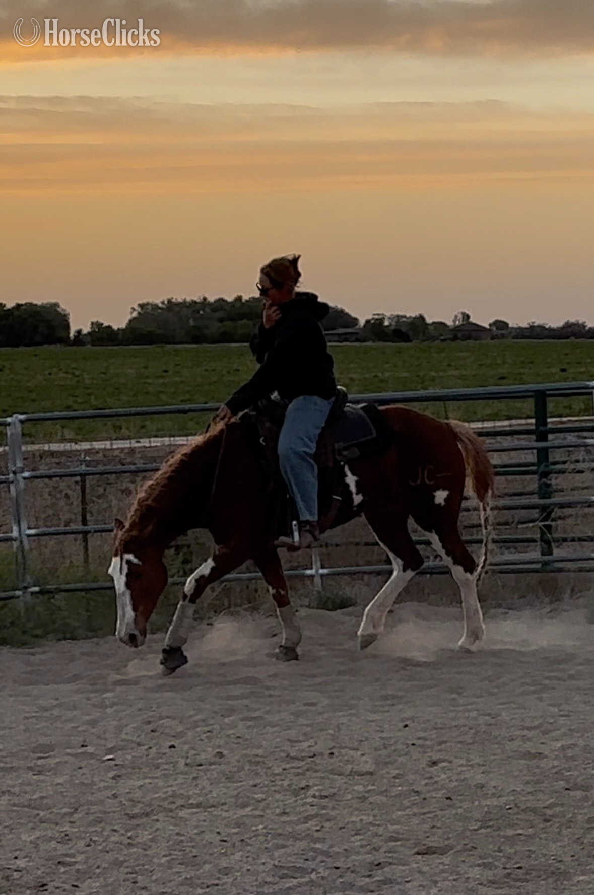 "JC" Chestnut Mare Paint