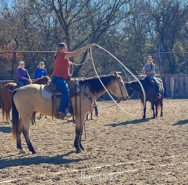 Quarter Horse - "Gerard " Buckskin Gelding Quarter Horse