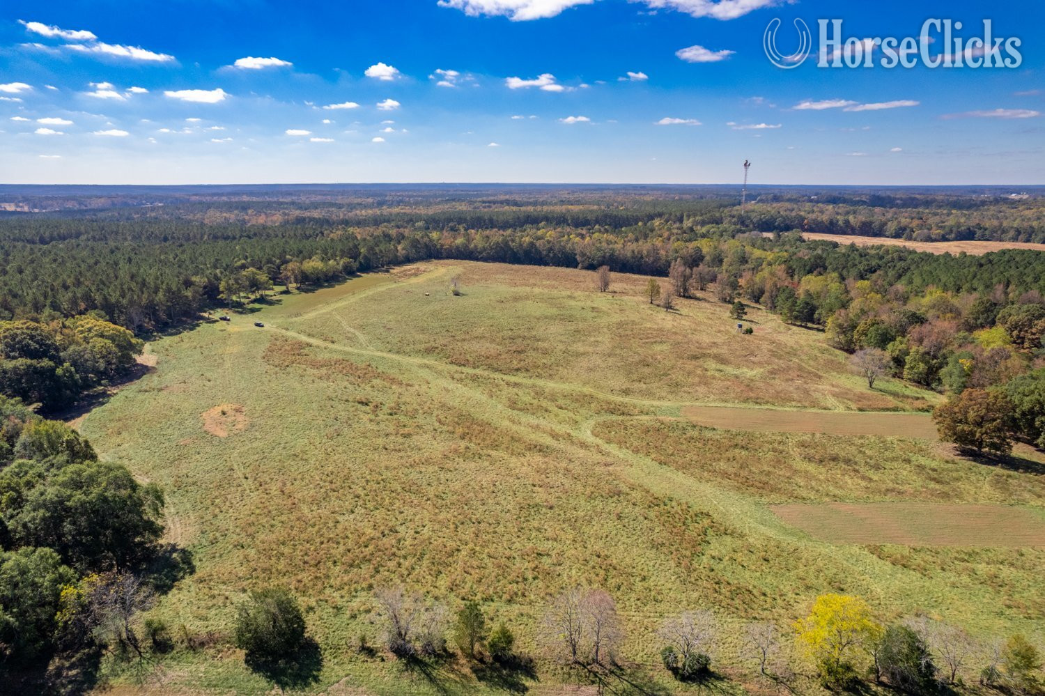 Estate Lots in Madison, GA Georgia