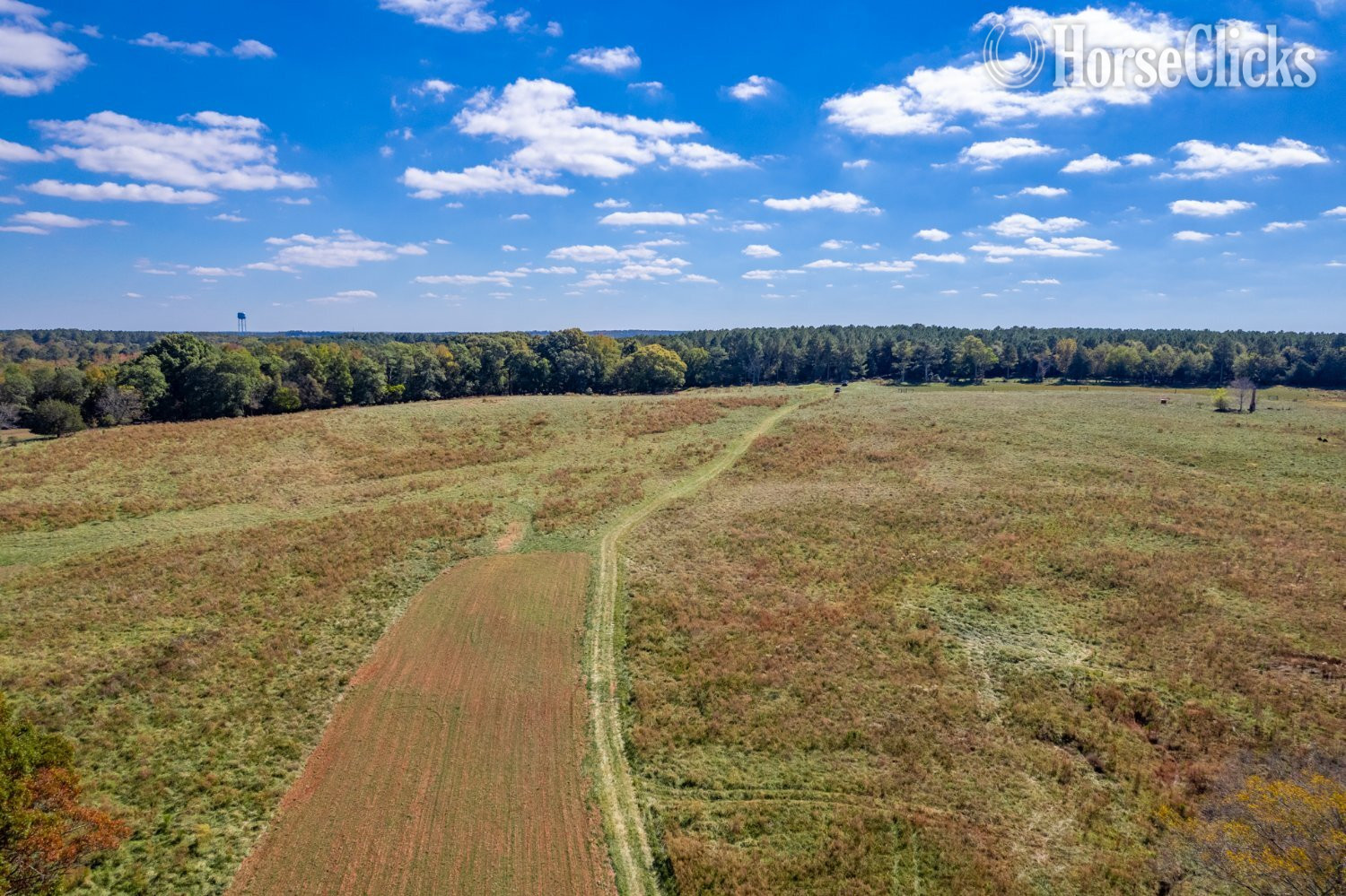 Land For Sale - Estate Lots in Madison, GA in Georgia