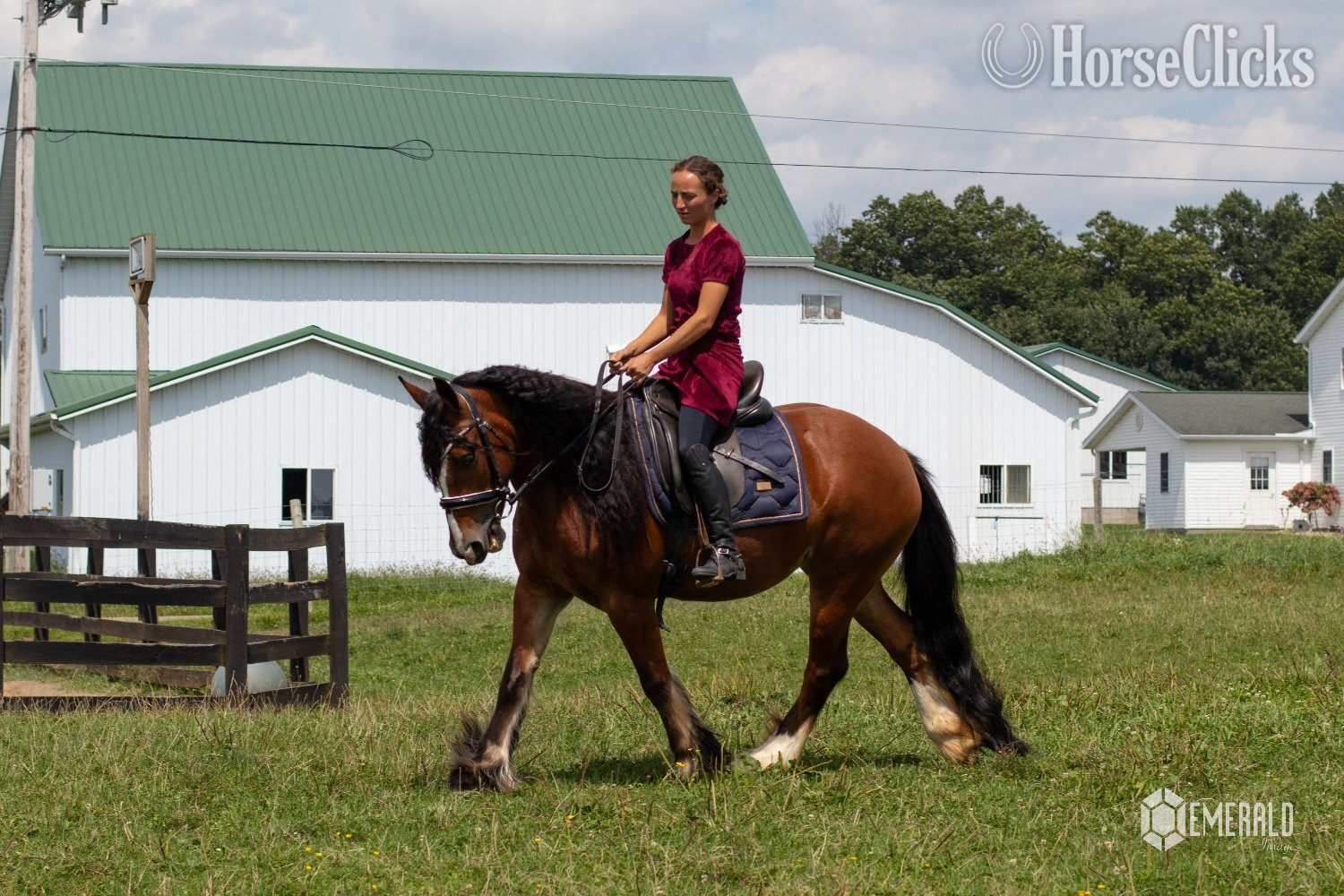 Gypsy Vanner - "AKH Butterscotch " Bay Mare Gypsy Vanner in Ohio