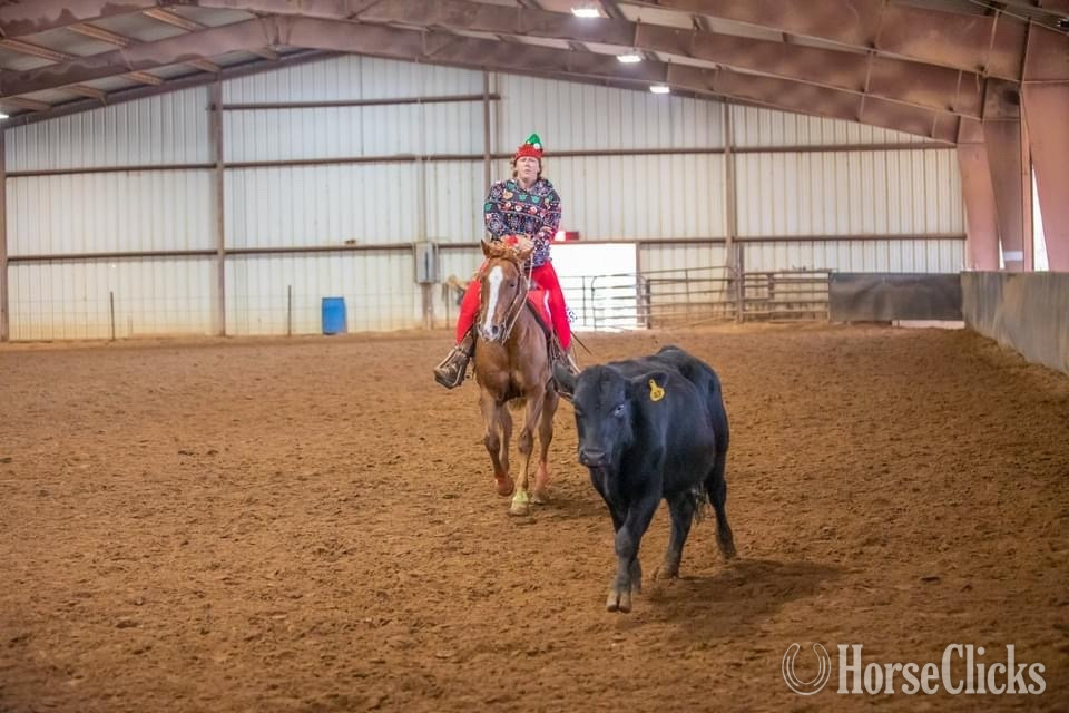Quarter Horse - "Suns Lil Peppy" Chestnut Gelding Quarter Horse