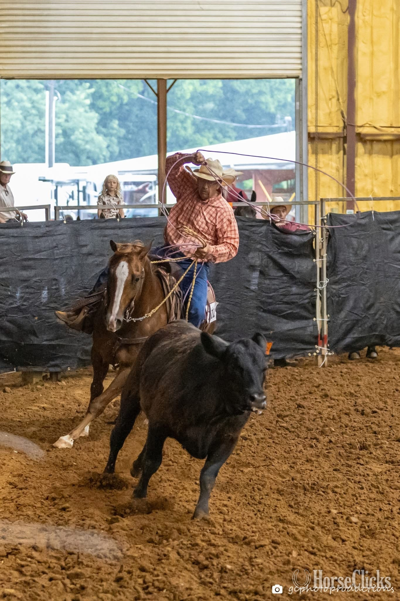 "Suns Lil Peppy" Chestnut Gelding Quarter Horse - Quarter Horse