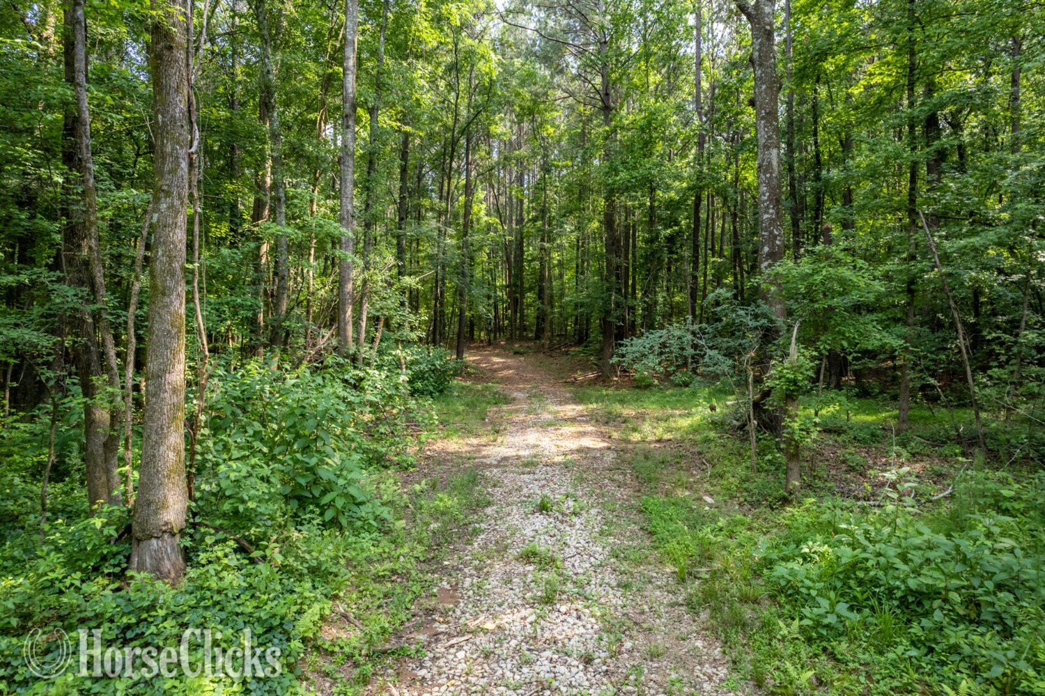 Georgia 17+ acres-Social Circle, GA