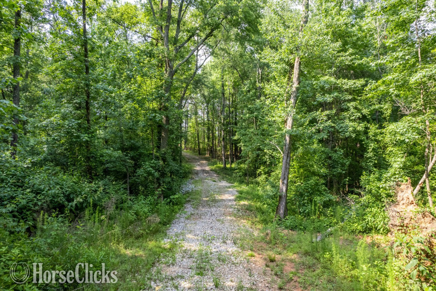 Land For Sale - 17+ acres-Social Circle, GA