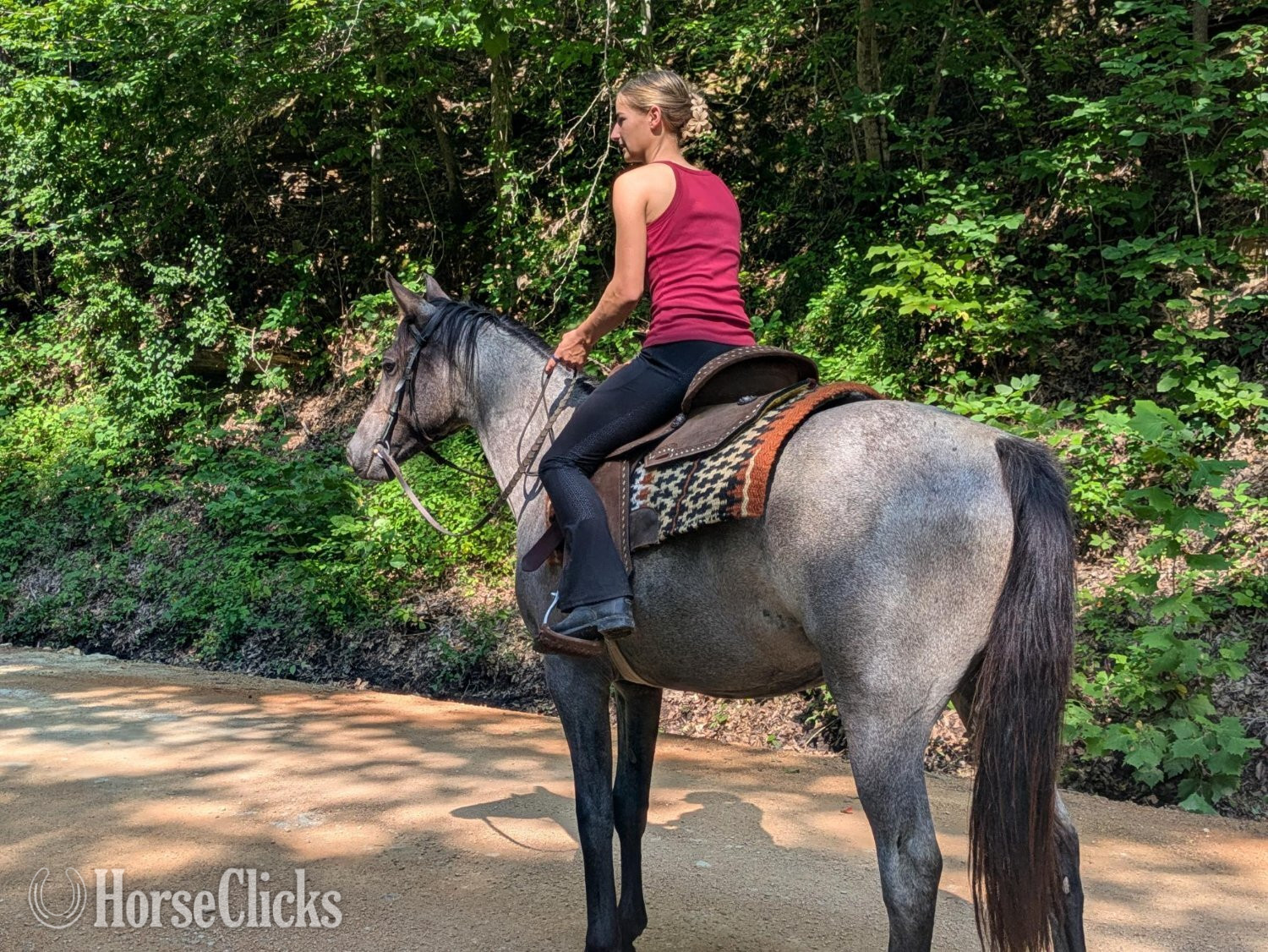"DELTA" Blue Roan Mare Quarter Horse - Quarter Horse
