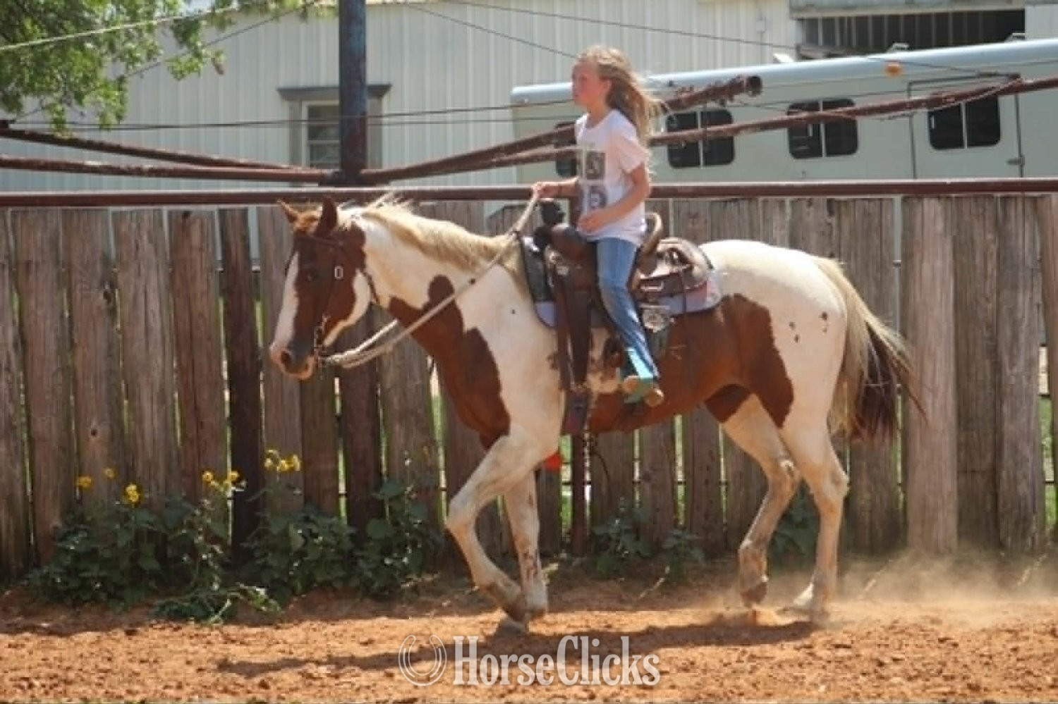 Texas "COWGIRL" Tabiano Mare Paint