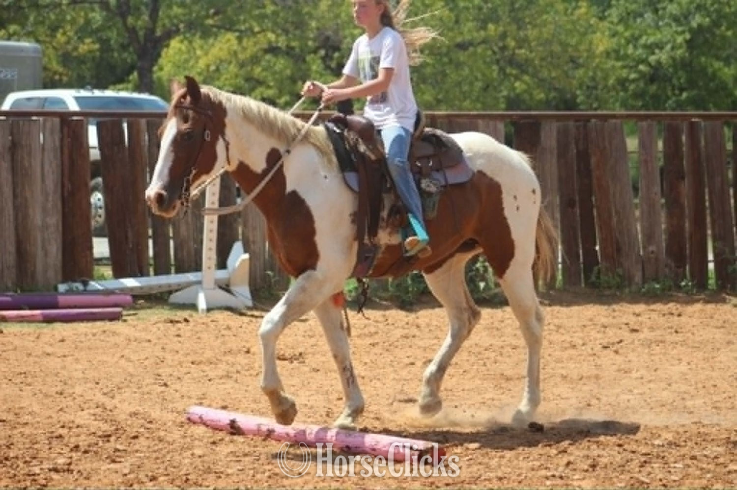"COWGIRL" Tabiano Mare Paint - Paint in Texas
