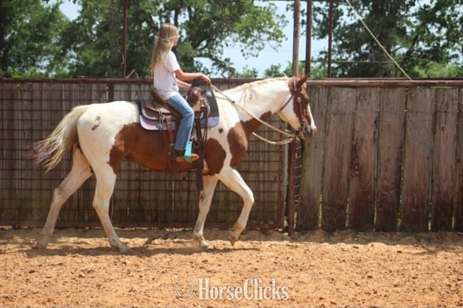 "COWGIRL" Tabiano Mare Paint - Paint