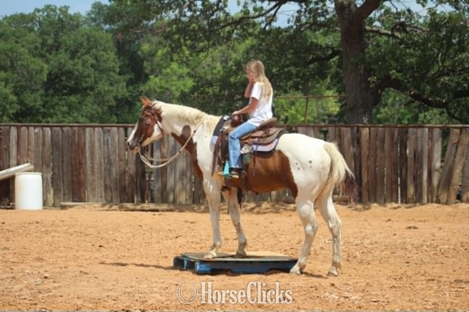 "COWGIRL" Tabiano Mare Paint Texas